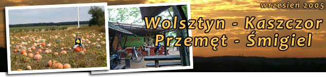 Wolsztyn - Przemęcki Park Krajobrazowy - Śmigiel