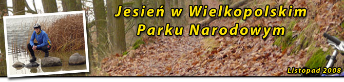 Jesienny wypad do Wielkopolskiego Parku