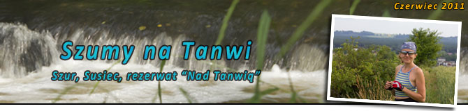 Szumy na Tanwi